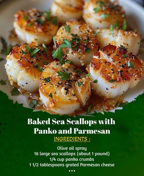 Spice Crafted - Baked Sea Scallops with Panko and Parmesan... Sea Scallops Recipe, Scallops Recipe, Olive Oil Spray, Sea Scallops, Scallop Recipes, Parmesan Crusted, Recipe Ingredients, Grated Parmesan Cheese, Seafood Dishes