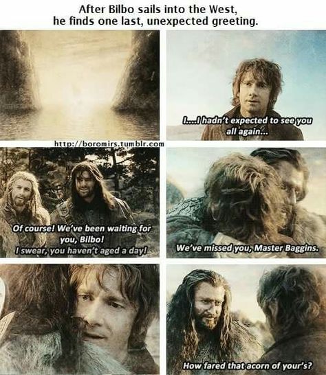 ♡ feels Lotr Funny, Concerning Hobbits, Fili And Kili, Into The West, The Shire, Fellowship Of The Ring, Thranduil, Jrr Tolkien, Legolas