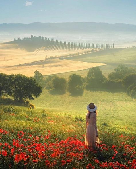 https://flic.kr/p/27WWoTo | Untitled Under The Tuscan Sun, World Pictures, Landscape Pictures, Tuscany Italy, Rolling Hills, 인물 사진, Nature Aesthetic, Nature Pictures, Beautiful World