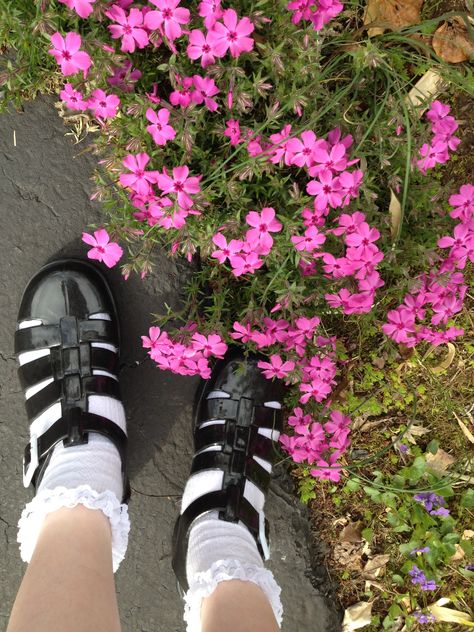 april 28th 2014. from one of the tumblr photoshoots I had. American Apparel Tennis Skirt, Frilly Socks, Jelly Sandals, Socks And Sandals, Tennis Skirt, American Apparel, Sock Shoes, Tumblr, In This Moment