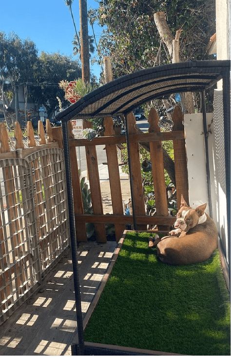 Small Dog Backyard Ideas, Covered Dog Potty Area Outside, Outdoor Dog Potty Area Winter, Patio For Dogs, Dog Runner Ideas Backyard, Dog Pen Ideas Outdoor, Dog Potty Area Outside, Dog Poop Area, Dog Bedrooms