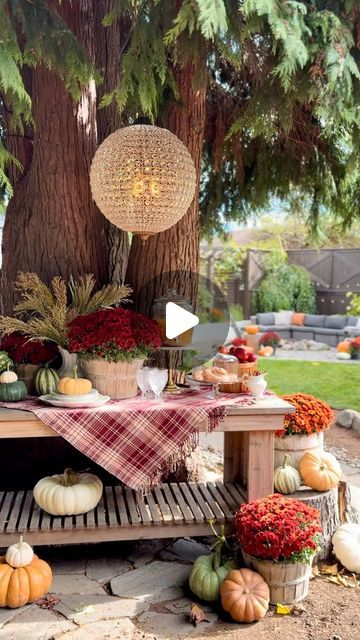 Kara Bowman on Instagram: "How to set up the perfect ✨FANCY✨ apple cider bar!🍎

I get so many requests to SHOW the set up process of my entertainment spaces… so here you go! And read below for my tips to pull off the perfect apple cider bar!

1. LOCATION: First find a space in your yard that is accessible and has an aesthetically pleasing background. I love setting up bars in front of our large cedar tree, but I’ve also done it near our firepit area and in front of our shed.

2. BAR CART: We built our large outdoor server, but there are also quite a few premade bar carts that are awesome!

3. LAYERS: This is an important one! For cider bars, my layers always consist of a table cloth or throw, mums/fall foliage, pumpkins and apples. For this one I used fancy stemware and ironstone serving Pleasing Background, Apple Cider Bar, Cider Bar, Sphere Chandelier, Bistro Lights, Cedar Tree, We Shed, Baked Good, Copper Mugs