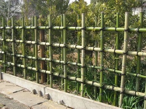 Cercas Vivas Ideas, Bamboo Edging, Wooden Gate Designs, Bamboo Garden Fences, Bamboo Fencing, Bamboo Ideas, Fences Ideas, Japanese Garden Landscape, Lawn Ideas