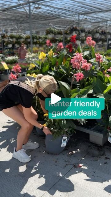 Garden design & Gardening ideas • Hydrangea 👑 on Instagram: "Planty deal alert 👀 will you find it???? I found these in Salt Lake City 👀 🌱💚 AND it comes in a self watering pot! 😍🙌🏼

Plant deal, renter friendly, plant, garden, garden deal
Patio design 

#gardendeal #renterfriendly #patiogarden #patiogardening #patiodesign 

Spotted yesterday @homedepot grown by my local grower @olsons_greenhouse_gardens 💚" Greenhouse Gardens, Curb Appeal Garden, Watering Pot, Self Watering Pots, Plant Garden, Greenhouse Gardening, Self Watering, Renter Friendly, Gardening Ideas