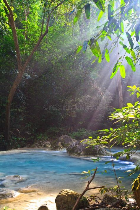 Erawan waterfall, Thailand stock photo. Image of forest - 43504468 Erawan Waterfall, Pool Plants, Spring Tree, Editorial Illustration, Blog Photo, Free Photos, Free Stock Photos, Free Images, Beautiful Nature