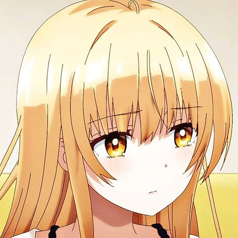 Otonari no Tenshi-sama ni ltsunomanika Dame Ningen ni Sareteita Ken Shiina Mahiru Anime icons Yellow hair yellow eyes Anime HD Yellow Anime Characters, Anime Yellow Eyes, Blonde Hair Yellow Eyes Anime, Yellow Anime Pfp, Yellow Hair Anime, Eyes Iris, About Your Character, Yellow Anime, Anime Artstyle