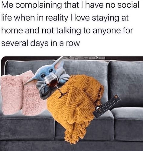 Stay at Home Memes for Antisocial Introverts Who Will Happily Work From Home For the Rest of Their Lives - Memebase - Funny Memes Single Memes, Introvert Humor, Work Memes, Funny Animal Memes, Women Humor, Work Humor, Anti Social, Social Life, Stay At Home