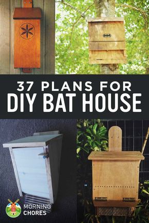 37 Free DIY Bat House Plans that Will Attract the Natural Pest Control (and Save Their Lives) Traditional Birdhouse, Bat House Plans, Bat Boxes, Bat Box, Bat House, Bird House Plans, Bird House Kits, Garden Pest Control, Natural Pest Control