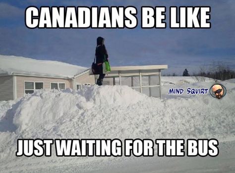 8 months a year Canada Jokes, Canadian Stereotypes, Canadian Memes, Canada Memes, Canadian Humor, Meanwhile In Canada, Canadian Things, Canada Eh, Memes In Real Life