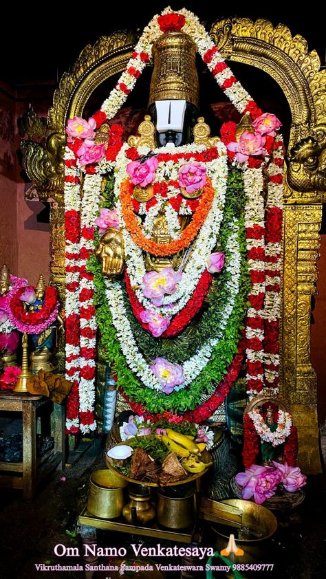 Sri Venkateswara Swamy Images Hd, God Venkateswara Images Hd, Venkateshwara Swamy Images, Lord Venkateswara Images Full Hd, Govinda God, Lord Venkateswara Images, Venkateswara Swamy Images, God Balaji Hd Wallpapers, Wedding Mala Rose