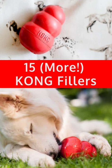 Dog with a KONG toy. Kong Fillers, Kong Treats, Kong Kong, Kong Recipes, Pet Recipes, Steak And Rice, Fish Ideas, Salmon Skin, Tasty Meat