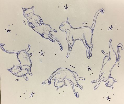 Flying cat pattern idea Cat And Bird Drawing, Leaping Cat Drawing, Cat Drawing Jumping, Upside Down Cat Drawing, Cat In Water Drawing, Cat Upside Down Drawing, Cats Laying Down Drawing, Curled Cat Drawing, Cat Being Picked Up Drawing