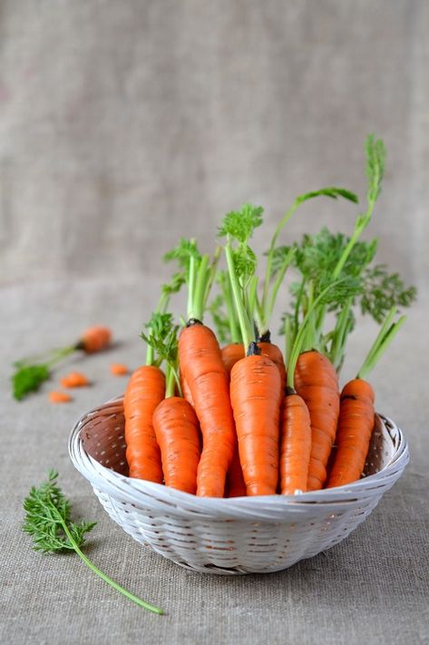 carrots Carrots Aesthetic, Carrot Photography, Orange Vegetables, Carrot Gardening, Vegetables Photography, Vegetable Illustration, Food Art Photography, Colorful Vegetables, Carrot Seeds