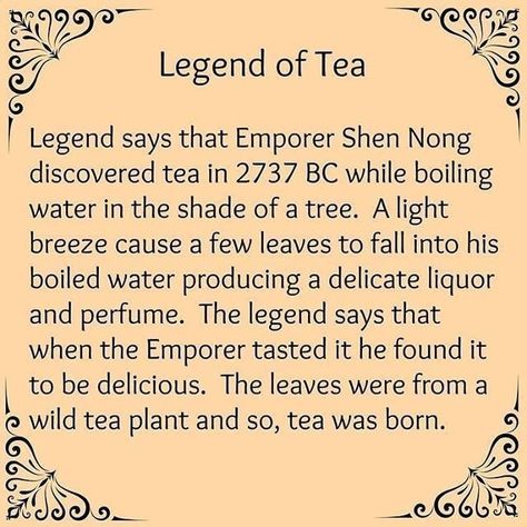 History Of Tea, Tea Facts, Tea Puns, Books And Tea, Tea History, Tea Quotes, Tea And Books, Cuppa Tea, Afternoon Tea Parties