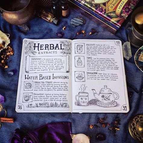 Witchy Bullet Journal, Herb Journal, Herb Art, Bullet Journal Spreads, Grimoire Book, Spiritual Journals, Bullet Journal Ideas, Witchy Crafts, Journal Spreads