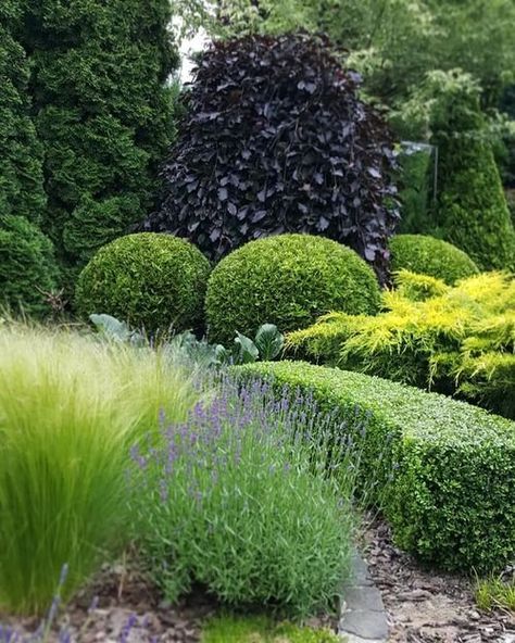 28 Inspirational Modern Formal Garden Designs to Elevate Your Outdoor Space Check more at https://zugnews.com/28-inspirational-modern-formal-garden-designs-to-elevate-your-outdoor-space/ White Hydrangea Garden, Contemporary Landscaping, French Country Landscaping, Shade Loving Shrubs, Formal Garden Design, Shade Garden Design, Boxwood Garden, Topiary Garden, Lush Lawn