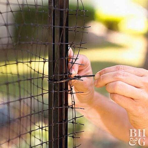 Deer Netting, Deer Deterent, Deer Repellant, Deer Proof, Golden Bamboo, Flowering Quince, Deer Fence, Garden Netting, Deer Resistant Plants