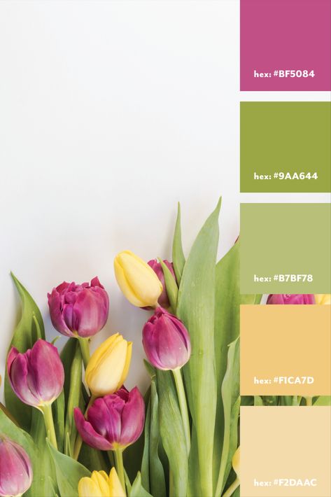 Lemon Yellow Colour Combinations Dress, Pink And Yellow Colour Palette, Blush Yellow Color Palette, Spring Green Color Palette, Green Pallete Colour Palettes, Spring Colors 2024, Green Pink And Yellow Color Scheme, Green Spring Color Palette, Gardening Color Palette