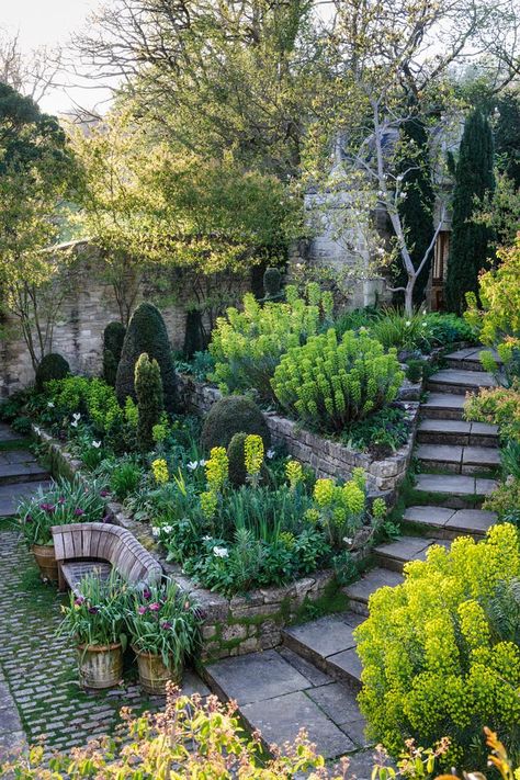 Garden steps and ramps: coping with a sloping garden - Gardens Illustrated Sloping Garden, Terrace Gardens, Terraced Garden, Garden Nook, Hillside Garden, Barn Living, Garden Stairs, Garden Inspo, Sloped Garden