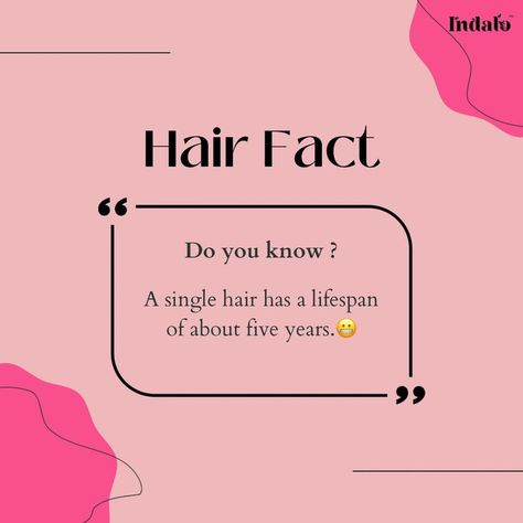 Hair care Facts Quotes About Meeting People, Natural Hair Serum, Hair Salon Quotes, Herbal Hair Care, Cosmetic Inspiration, 4c Hair Care, Natural Hair Care Products, Hair Facts, Hair Salon Business