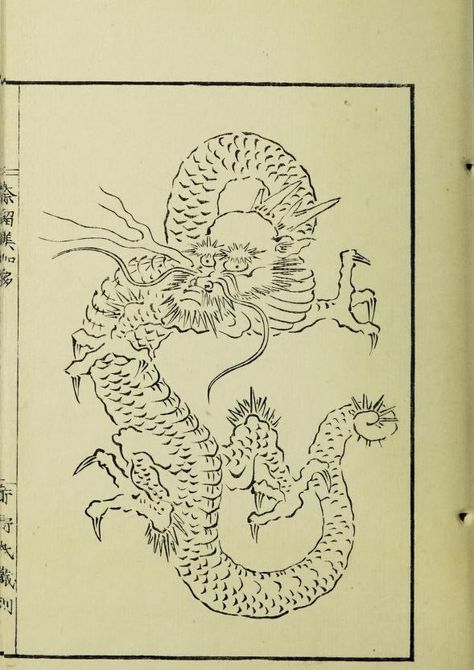 Traditional Japanese Dragon, Dragon Japanese, Japanese Dragon Tattoos, Japanese Drawings, Vintage Dragon, Traditional Tattoo Art, Dragon Illustration, Japanese Illustration, Dragon Tattoo Designs