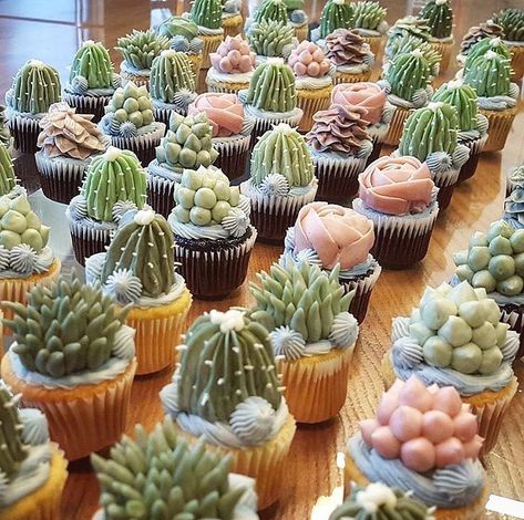 Cupcakes Succulents, Deco Cupcake, Cactus Cupcakes, Indian Cake, Succulent Cupcakes, Buffet Dessert, Succulent Cake, Cactus Cake, Cream Cheese Desserts