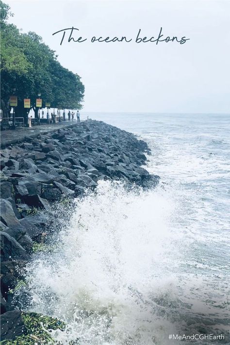 Fort Kochi beach is just a short walk away from Beach Gate Bungalows. Enjoy the sights and sounds of pitter-pattering rain, and the crashing of waves on your walk across the promenade as you watch the evening sun set into the vast expanses of the Arabian Sea. Book your monsoon holiday today! Link in our bio. #MeAndCGHEarth #Beach #Discover #Explores #Stays #Local #PrivateStays #FortKochi #KochiDiaries #PrivateBungalow #Privatebungalows #Privatepool #LuxuryStays #HeritageBungalows #Kerala Fort Kochi Beach, Fort Kochi, Evening Sun, Arabian Sea, Sun Set, Kochi, Beach Photos, Private Pool, Family Vacation