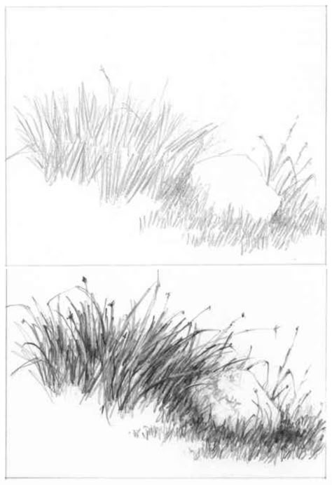 Landscape Drawing Tutorial, Grass Drawing, Drawing Trees, Landscape Pencil Drawings, How To Draw Realistic, Draw Realistic, Nature Sketch, Tree Sketches, Landscape Sketch