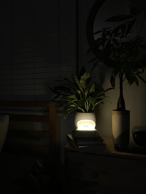 Night in my room bed space #roomdecoration #plants #guysroom #bedroomideas #aesthetic #green #night Plants In Dark Rooms, Dark Bedroom Plants, Bed Aesthetic Night, Planty Room, Black Aesthetic Room, Reel Background, Bedroomideas Aesthetic, Plant Room Aesthetic, Plant Night