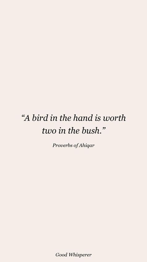 Bush Quotes, Bird In Hand, Hand Quotes, The Bush, The Hand, Proverbs, Quotes