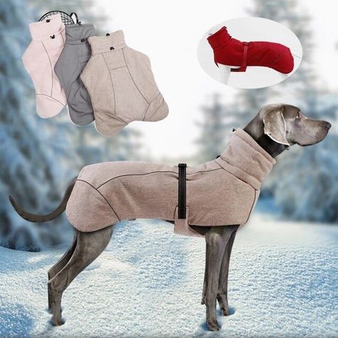 Weimaraner on Instagram: "Warm Jacket For Weimaraner Who wants this? Comment "yes" And Check the Link in Bio @weimaranergrams Shipping Worldwide Link in Bio: ⬆️⬆️ @weimaranergrams" Dog Jacket Patterns, Big Dog Clothes, Dog Jackets Winter, Dog Coat Pattern, Dogs Clothes, Clothes For Dogs, Greyhound Dog, Dogs Name, Dog Clothes Patterns