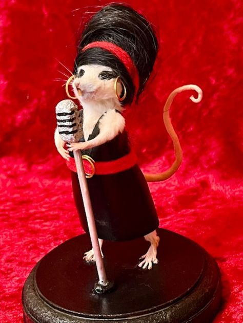 Funny Rats Dressed Up, Mice Taxidermy, Taxidermy Aesthetic, Taxidermy Rat, Funny Taxidermy, Rat Meme, Rat Band, Princess Meme, Rat Queens