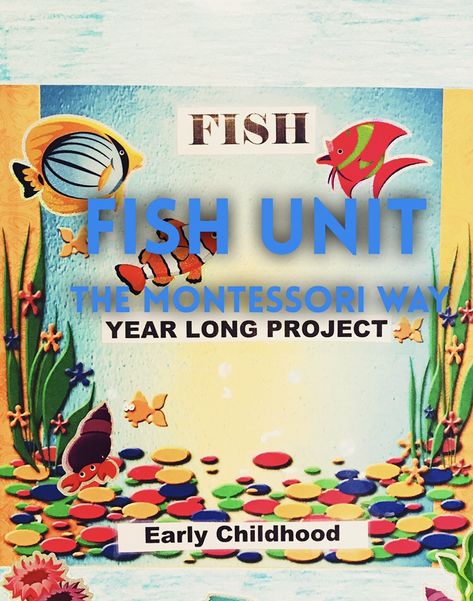 Presenting Fish Unit Study The Montessori Way Fish Unit Study, Montessori Zoology, Montessori House, Montessori Method, Lifelong Learning, Structure And Function, The Learning Experience, My Class, Unit Study