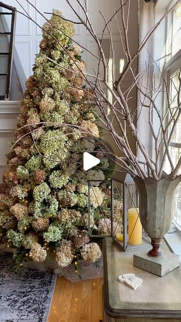 Mary Ann Beaudry on Instagram: "Are these REAL hydrangeas on your Christmas tree? ⤵️  . 🎄 So many of you have asked… . 💫 YES!!  . 🎄 Majority of these blooms I cut from a single Limelight Hydrangea bush. . 💫 It’s hard to believe I only cut 1/4 of the blooms off the bush. . 🎄 I didn’t do anything special to dry them.  . 💫 Just waited until they felt like paper on the bush. . 🎄 Cut them and placed them in a small box. . 💫 That’s it - easy peasy!  . 🎄 Do you like decorating with hydrangeas?  . 💫 Where do you use them? . . #LimelightHydrangea #HydrangeaFlowers #HydrangeasAreMyFavorite  #HydrangeaFlower #HydrangeaLove #ChristmasTreeIdeas #ChristmasTreeInspo #driedhydrangeas" Christmas Decor With Hydrangeas, Dried Limelight Hydrangeas, Dried Hydrangeas Christmas Tree, Dried Hydrangeas In Christmas Tree, Dried Hydrangea Garland, Decorating With Dried Hydrangeas, Dried Hydrangea Christmas Decor, Dried Hydrangea Christmas Tree, Spray Paint Hydrangeas