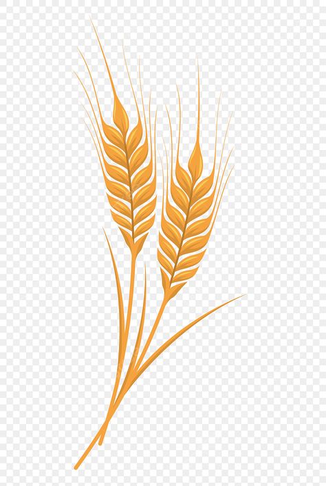 Wheat Vector, Animation Design, Clipart Images, Png Clipart, Free Png, Png Image, Stock Footage, Png Images, Wheat