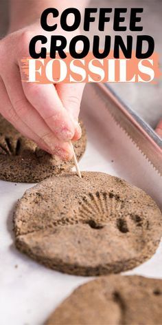 Diy Fossils, Dinosaur Crafts Kids, Dinosaur Excavation, Fossils Activities, Archaeology For Kids, Dinosaur Preschool, Dinosaur Crafts Preschool, Dino Craft, Fossil Art