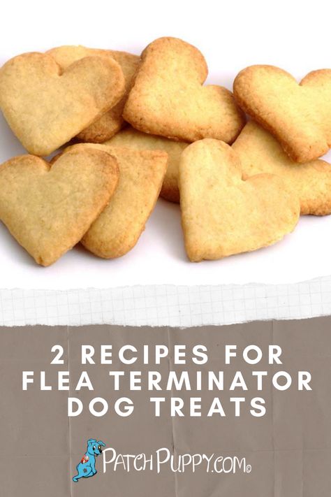 2 Natural Flea Terminator Recipes Using Brewer's Yeast. Get rid of fleas naturally using easy, inexpensive | #Brewers_Yeast_Dog_Treats #Flea_Prevention_Dog_Treats #Natural_Dog_Treats_Recipes #Dog_Flea_Remedies Flea Prevention Dog Treats, Brewers Yeast Dog Treats, Natural Dog Treats Recipes, Get Rid Of Fleas, Flea Repellent, Dog Treats Homemade Easy, Dog Biscuit, Dog Biscuit Recipes, Healthy Dog Treats Homemade