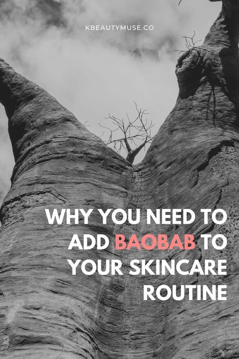 Otherwise known as Adansonia digitata, Baobab is a tree native to Africa. Baobab seed oil has long been used for skin and hair care for its many nourishing and moisturizing benefits. Here are some of the amazing benefits of Baobab oil in skincare that you should take advantage of! Baobab Oil Benefits, Baobab Benefits, Clay Mask Recipe, Adansonia Digitata, Baobab Powder, Skin And Hair Care, Baobab Oil, Korean Skincare Routine, Beauty Guide