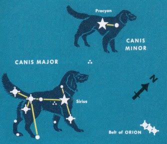 Constellation of the Month: Constellation Canis Major Astronomy Crafts, Canis Major, Astronomy Tattoo, Sirius Star, Stars Constellations, Orion's Belt, Constellation Art, Arte Indie, Constellation Tattoo