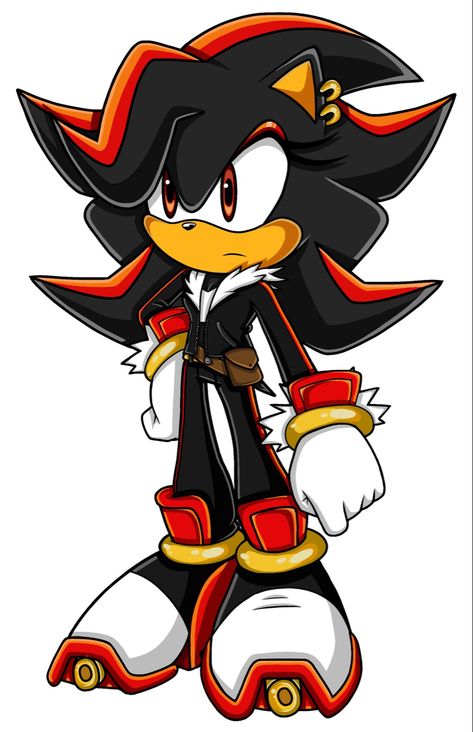 Sonic Female Shadow The Hedgehog, Female Shadow, Bathroom Colors Schemes, Oc Base, Sonic And Amy, Sonic Fan Characters, Circus Art, Punk Art, Hedgehog Art