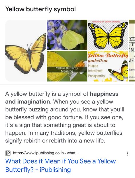 Yellow Butterfly Spiritual Meaning, Yellow And Black Butterfly Meaning, Butterfly Types And Meanings, Monarch Butterfly Meaning, Hummingbird Spiritual Meaning, Yellow Butterfly Meaning, Butterfly Types, Yellow Monarch Butterfly, Butterfly Spirit Animal