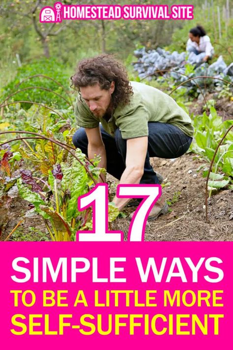 Becoming self-sufficient is a daunting task. Fortunately, there are many simple things you can do to get started no matter where you live. Survival Skills Emergency Preparedness, Self Sufficiency, Bushcraft Shelter, Herbs Garden, Acid Loving Plants, Self Sufficient, Survival Techniques, Homestead Survival, Daily Health Tips