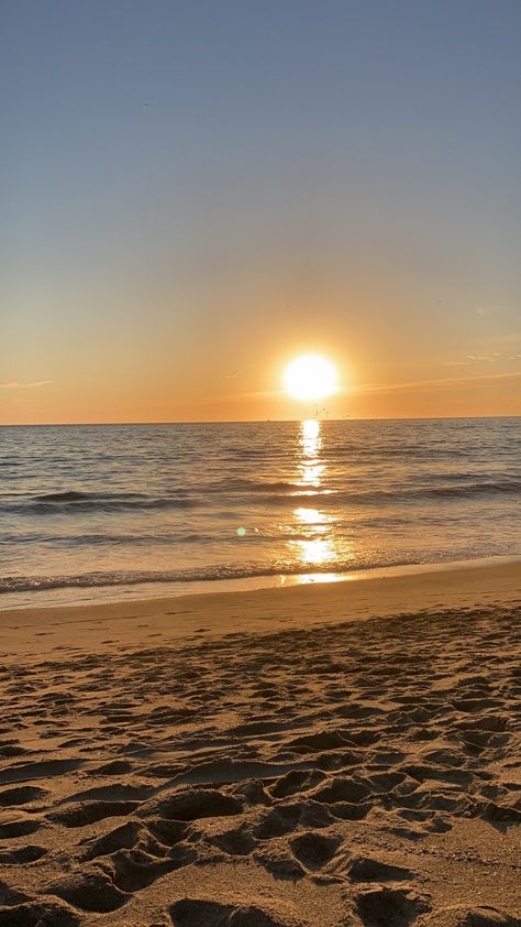 #summer #venicebeach #california #sunset #sand #ocean #shore #warm #clouds #water #birds Ocean Shore, Art Final, Water Birds, Sky Pics, California Sunset, Venice Beach, Beach Sand, Beach Sunset, Phone Wallpapers