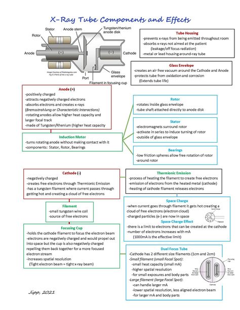 Xray Positioning Chart, Radiologic Technology Notes, X Ray Positioning Chart, X Ray Tube Diagram, Radiology Notes Aesthetic, Rad Tech Student Notes, Radiology Terminology, Arrt Registry Exam, Dental Radiology Study