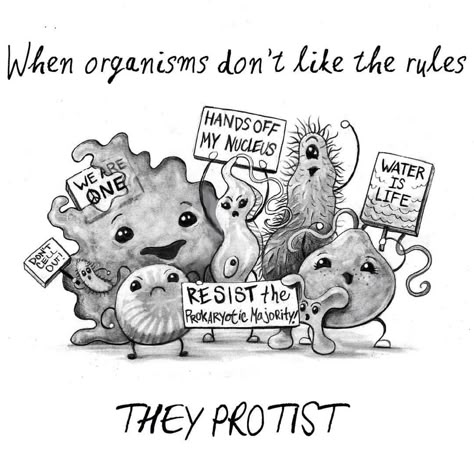 The only thing I like more than puns are biology-related puns. #protest #protist #biology Biology Jokes, Biology Memes, Biology Activity, Lab Humor, Sixth Grade Science, Biology Humor, Science Puns, Nerd Jokes, Biology Classroom