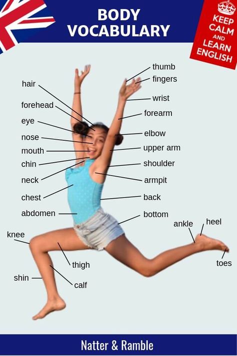 Learn English | English | vocabulary | English vocabulary | English language | body vocabulary | build vocabulary | learn vocabulary | English lesson | study English | #english #vocabulary #englishlanguage #learnenglish #body #nar Body Vocabulary English, Human Body Vocabulary, अंग्रेजी व्याकरण, Grammar English, Vocabulary English, Learn Vocabulary, Study English, Teaching English Grammar, English Learning Spoken