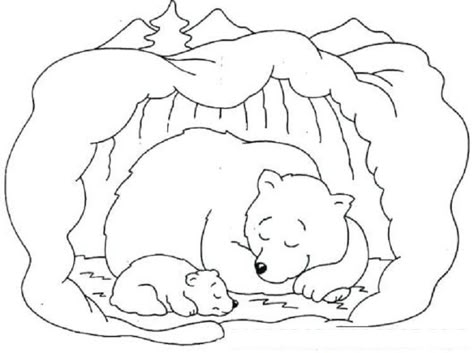 Hibernating Bear Coloring Pages Free V Sketch Coloring Page Hibernation Preschool Crafts, Hibernating Bear Craft, Hibernation Crafts, Hibernating Bear, Bear Coloring Page, Animals That Hibernate, Bear Coloring Pages, Winter Preschool, Bear Crafts