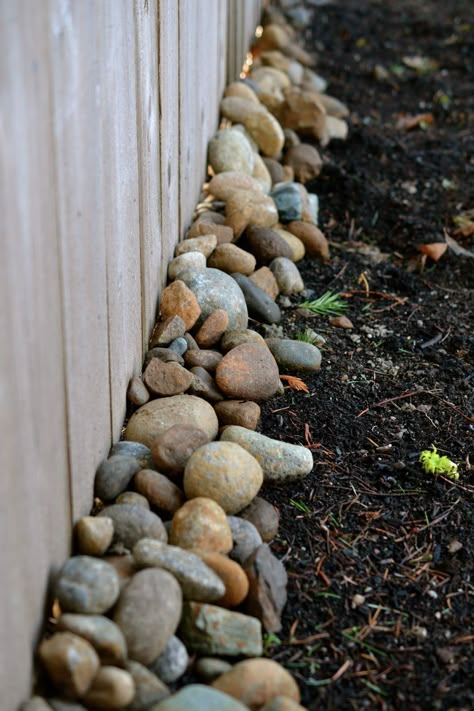 Privacy Fence Landscaping, Landscaping On A Hill, Backyard Privacy, Fence Landscaping, Have Inspiration, Backyard Fences, Backyard Projects, Garden Fence, Cardboard Crafts