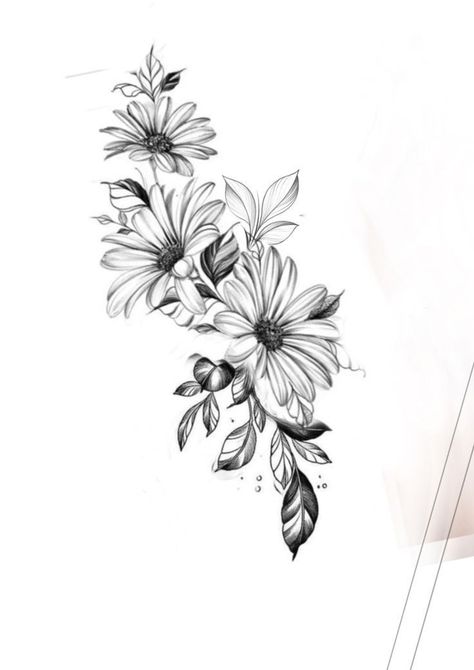 Daisy Upper Arm Tattoo, Gerber Daisy Tattoo Sleeve, Black And White Aster Tattoo, Tattoos To Fill In Space On Arm, Flower Gap Filler Tattoo, African Daisy Tattoo, Native Floral Tattoo, Daisies Tattoo Designs, Bouquet Of Daisies Tattoo