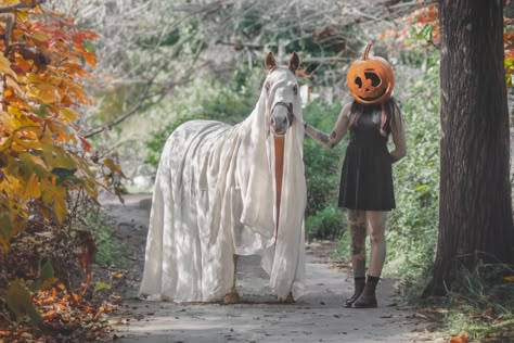 Here is another Halloween-themed photo from a recent shoot! Lucy and Frog looking very spooky!! :D October is definitely the best month for photos, and we love getting the horses involved! Halloween Photoshoot With Horse, Western Halloween Photoshoot, Horse Halloween Photoshoot, Halloween Horse Photoshoot, Horse Halloween Ideas, Headless Horseman Costume, Horse And Rider Costumes, Horse Fancy Dress, Horse Costume Ideas